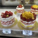 브레드컴퍼니쉐프조 | 브레드컴퍼니쉐프조 | 당산케이크 맛집 딸기돔케이크 후기