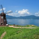 바람의언덕 이미지