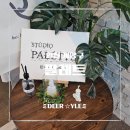 무인55 | [인천 가볼 만한 곳] 생일파티, 브라이덜샤워, 스냅 촬영까지! 특별한 공간 대여 팔레트 후기