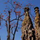 천탑마을 이미지