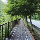 분설담화장실 이미지