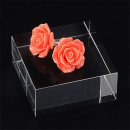 조아조아 피규어 이미지