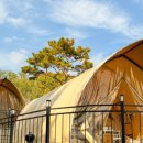 그린스테이 이미지