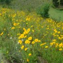 백양우리컨트리클럽 이미지