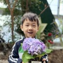 Arbor day 이미지