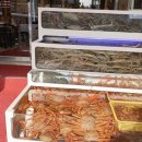 대한회센타 이미지