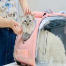 신라가방