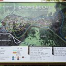 생태숲노래연습장 | 한라생태숲에서 절물휴양림까지 트레킹