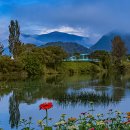 강가에아침 이미지