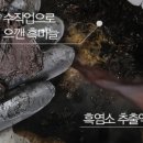 황금염소농장 이미지