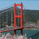 무궁태양광발전소 이미지