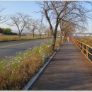 분황사주차장 이미지