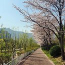 신동아파밀리에아파트 (정문 건너편) 이미지