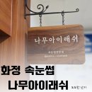 나무아이래쉬