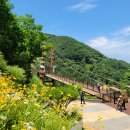 좌구산휴양랜드 이미지