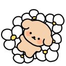 12월애헤어 이미지