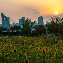 금강수변공원(대평동) 이미지