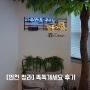 멍뭉이 이발소 | [인천 청라] 강아지들의 천국! 청라 애견놀이터로 유명한 "똑똑개세요" 후기