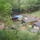 솔흑염소농장 이미지