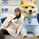 올리브영 홍대중앙점 | 홍대 팝업스토어 올리브영 이니스프리 X 뚱시바 시크릿룸에서 레티놀 시카 앰플 후기