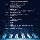 유니버설발레단 호두까기인형후기/세종문화회관 1층 b열 10번시야