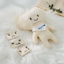 서진DCP 이미지