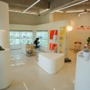 잘나가는 강아지 이미지