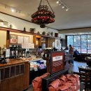호텔 알렌(HOTEL Allen) | [ 미국 Berkeley 버클리 여행 ] 2026 August - ③ Peet's Coffee 피츠 커피 1호점 - craft coffee의...