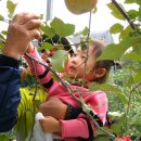 평광농장 이미지