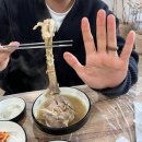 인제맛집 인제 백숙맛집 갯골늘솔길