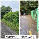 예초 | 🌿 마산(창원) 내서 공터 예초 작업 후기 [#01]