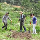 김정연농장 이미지