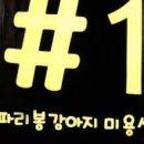 김하나 미용실 이미지