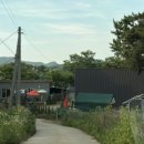 코샷