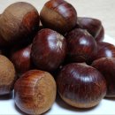 조율농장 이미지