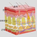 밀라노짐 이미지