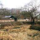 알콩달콩영농조합법인 이미지