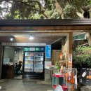 제주 올레길 1코스 | 제주도 성산일출봉 정상/제주올레길1코스 여행후기