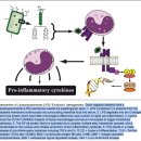 당신은 뇌를 고칠 수 있다 2장. 장누수(leaky gut)와 뇌누수(leaky brain) 이미지