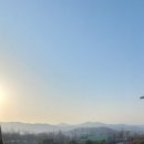 해금(입문) 이미지