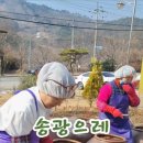 쌍향수길 이미지