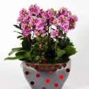 하동우리들병원장례식장 이미지