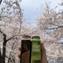 프레시제주