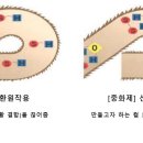 어리1제 네이버블로그
