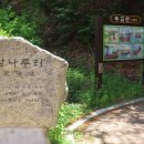 공암나루근린공원 | 5월의 초록빛 산책, 공암나루근린공원에서 만난 힐링 로드