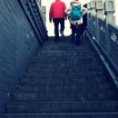 대조-004 이미지