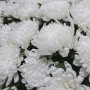 노원을지대학교병원 이미지