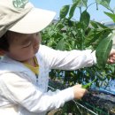 시후농장 이미지