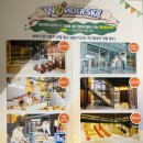 파크존 | 강릉 아이와 갈만한 곳 &#39;원더스카이&#39; 실내 어드벤처파크 [어트랙션존] 방문 후기