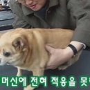 런닝빈